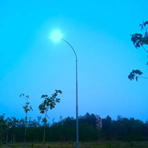 Λvia